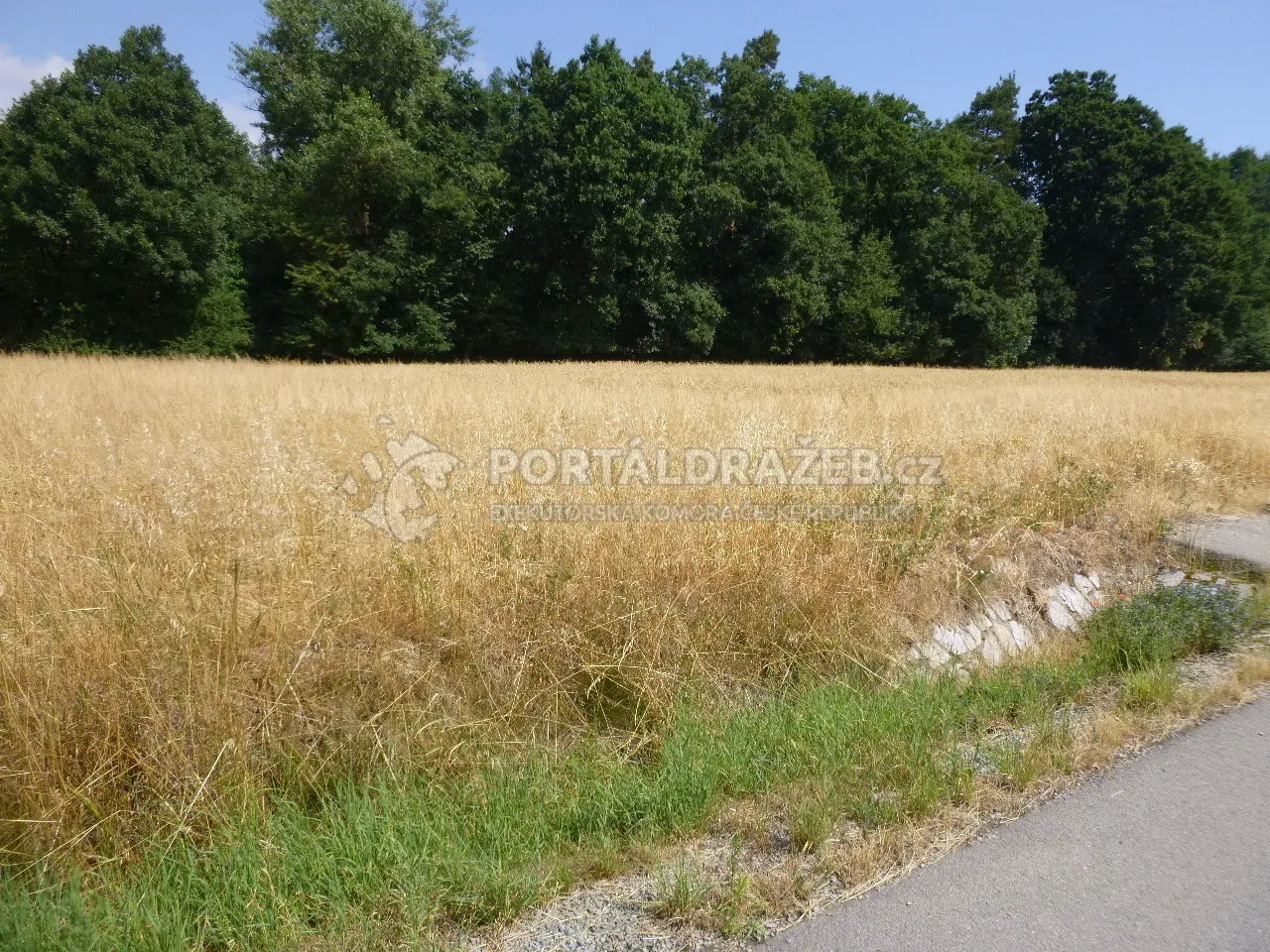 Podíl na rodinném domě v obci Doubravice nad Svitavou, okres Blansko