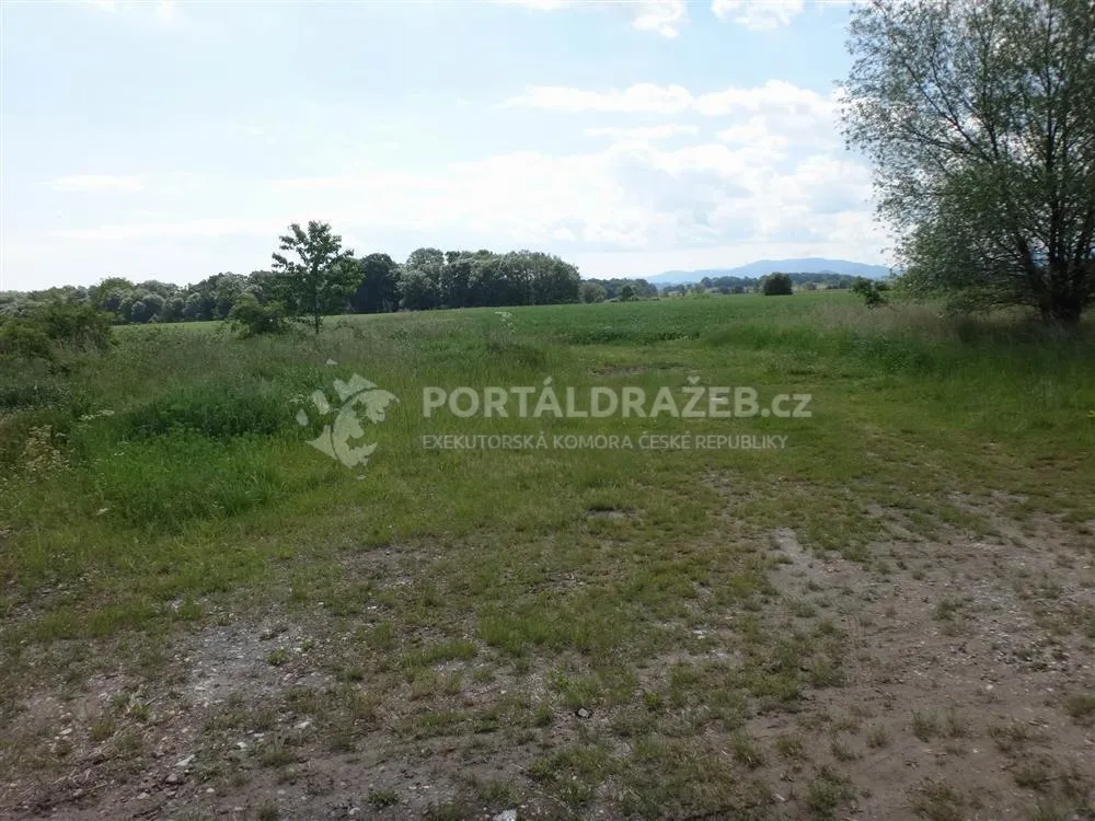 Dražba pozemků v Javorníku, okres Jeseník