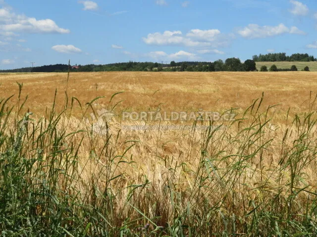 Pozemek o velikosti 2464m2, Plzeň, podíl 1/10