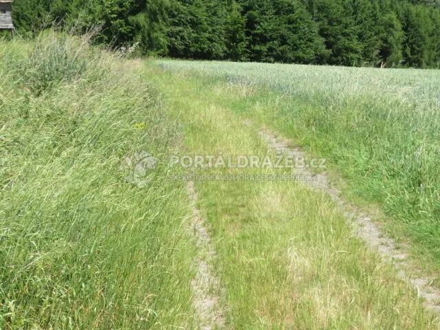 Pozemek o velikosti 2464m2, Plzeň, podíl 1/10