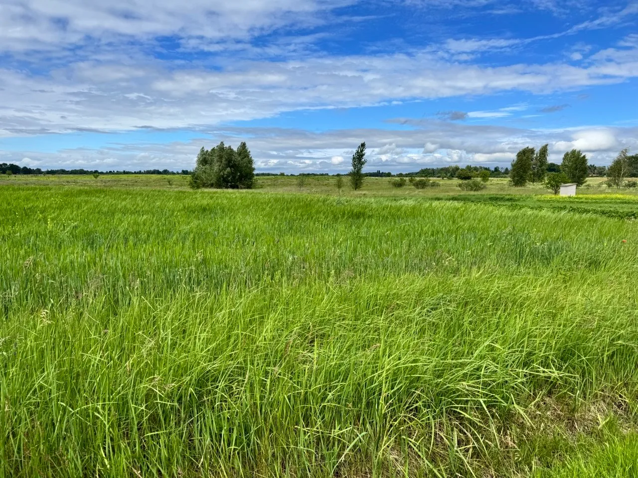 Продаж земельної ділянки, площею 0,1500 га, кадастровий номер 3221255500:01:045:0067, цільове призначення - 02.01 Для будівництва і обслуговування житлового будинку, господарських будівель і споруд (присадибна ділянка), за адресою: Київська