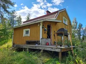 Myydään ulosmitattu kiinteistö Siilinjärveltä