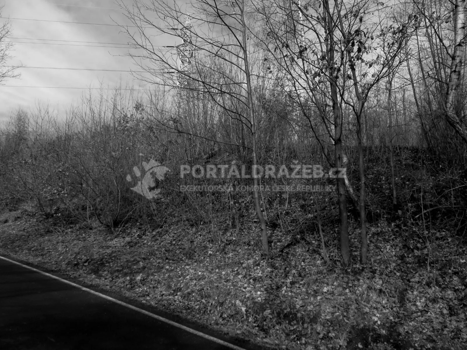 Pozemek parc. č. 294/3 v k. ú. Dasnice, okres Sokolov