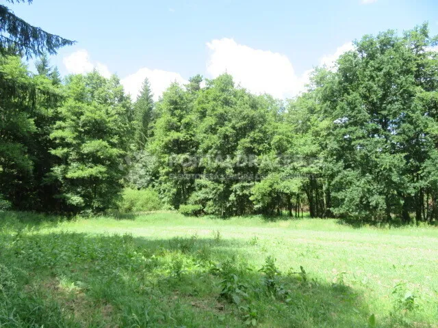 Pozemek o velikosti 2758m2, Plzeň, podíl 1/10