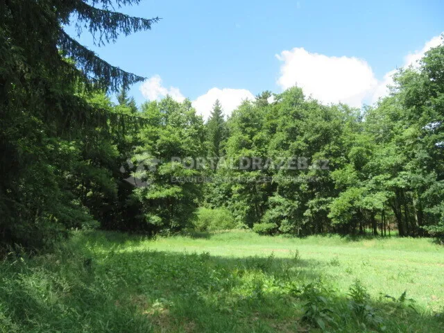 Pozemek o velikosti 2758m2, Plzeň, podíl 1/10