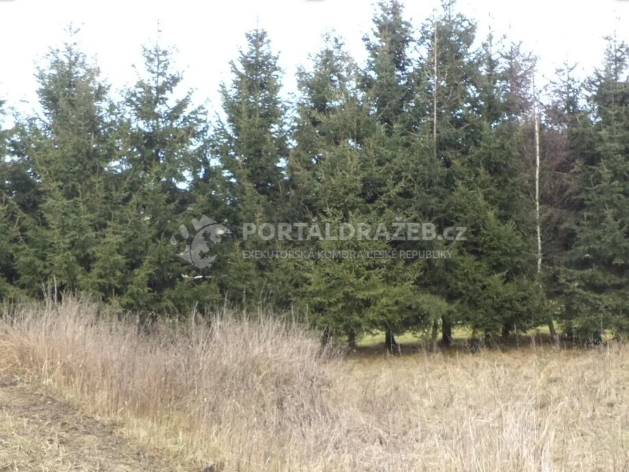 Pozemek o velikosti 1390m2, Horní Planá