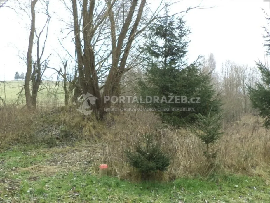 Pozemek o velikosti 1390m2, Horní Planá
