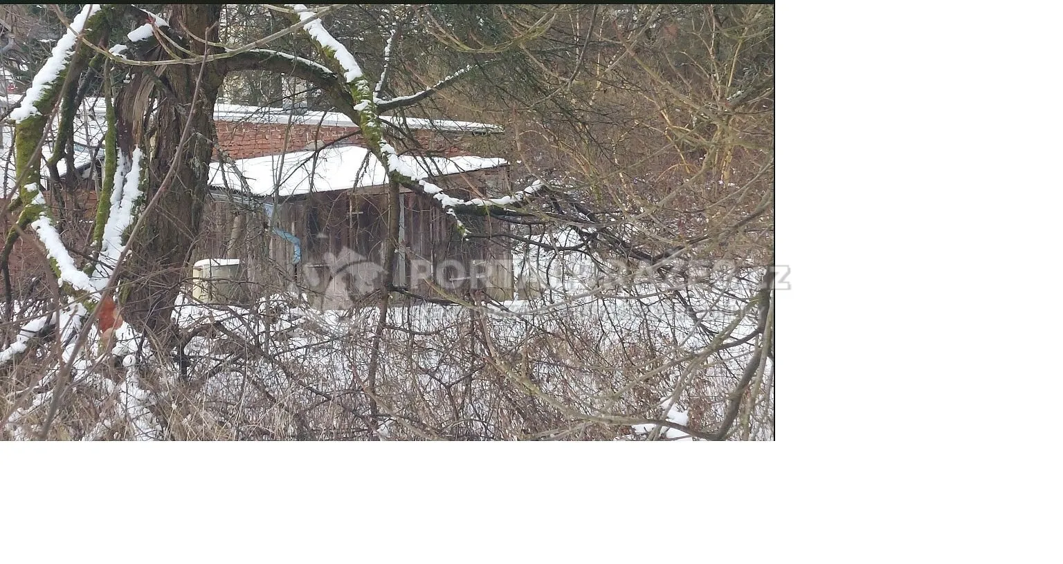 rodinný dům (zbořeniště) s pozemky, k.ú. Dolní Poustevna - podíl 1/40