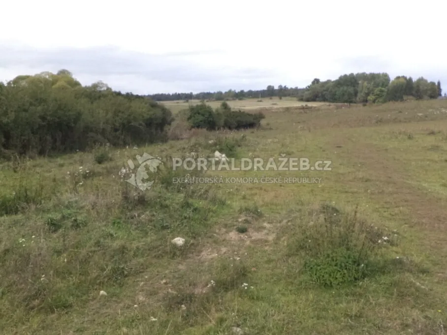 Pozemek o velikosti 3504m2, Tachov