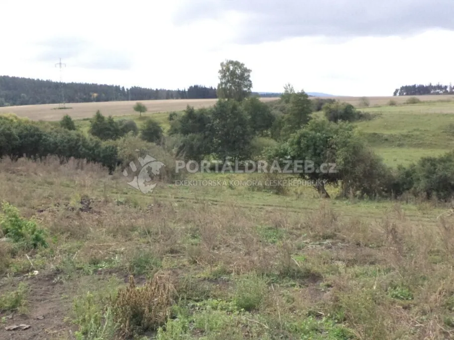 Pozemek o velikosti 3504m2, Tachov