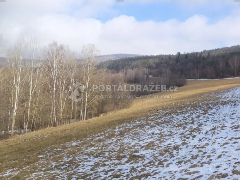 Pozemek o velikosti 10344m2, Křenov u Kájova