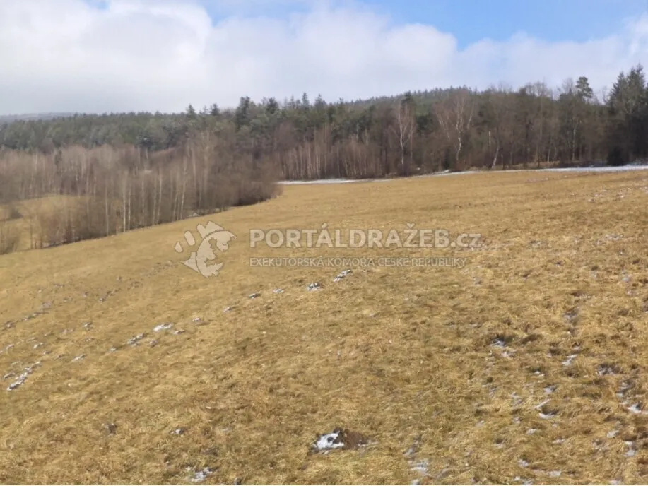 Pozemek o velikosti 10344m2, Křenov u Kájova