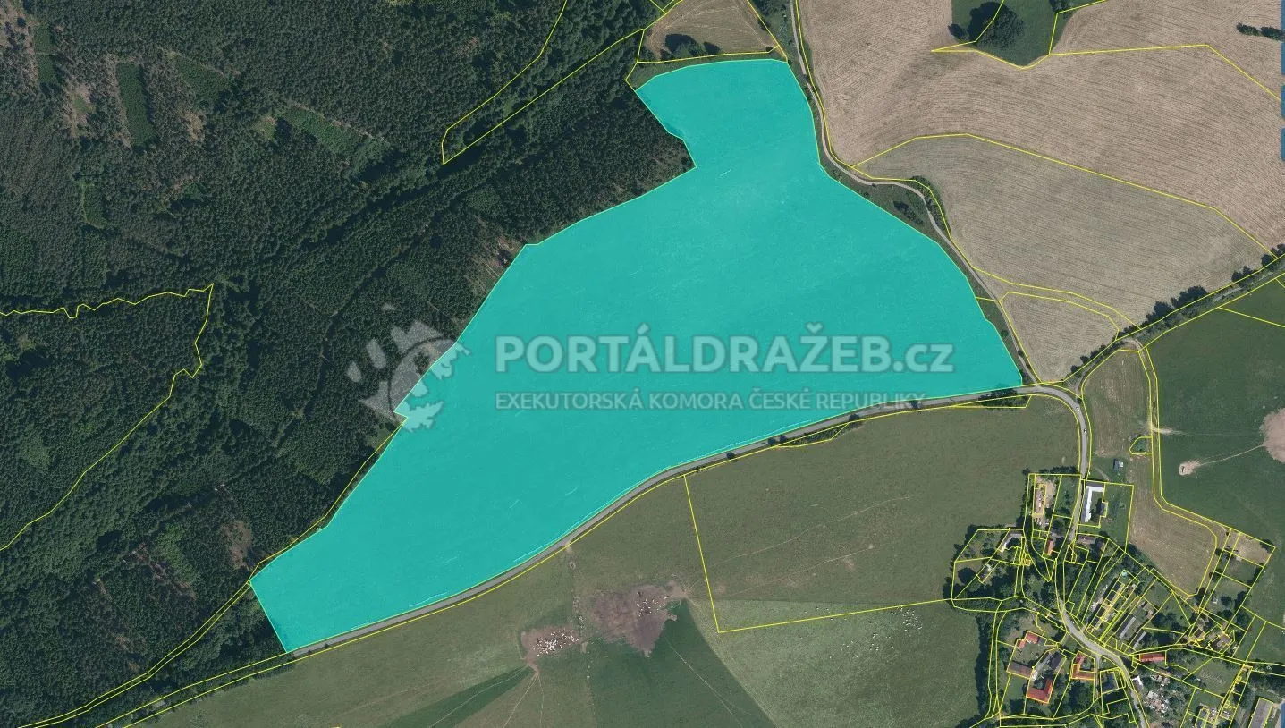 Pozemky 225 137 m2 , obec Bezdružice