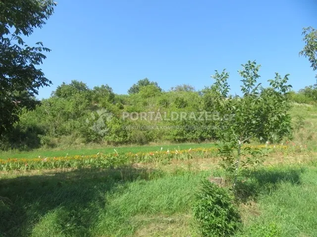 Dražba podílu 1/6 na pozemcích, Vlkoš, okr. Kyjov