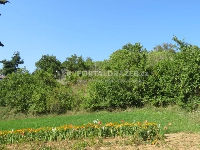 Dražba podílu 1/6 na pozemcích, Vlkoš, okr. Kyjov