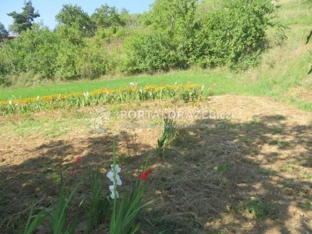 Dražba podílu 1/6 na pozemcích, Vlkoš, okr. Kyjov
