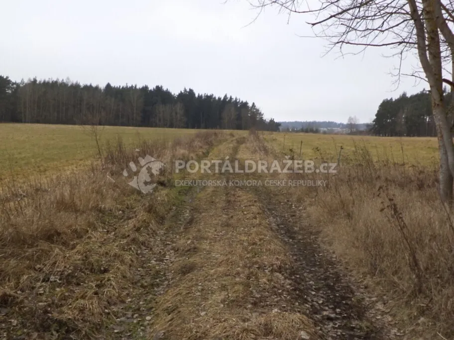 Pozemek o velikosti 3739m2, Lom u Tachova