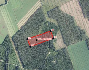 Ulosmitattu rakentamaton metsäkiinteistö (2,770 ha) Joensuussa