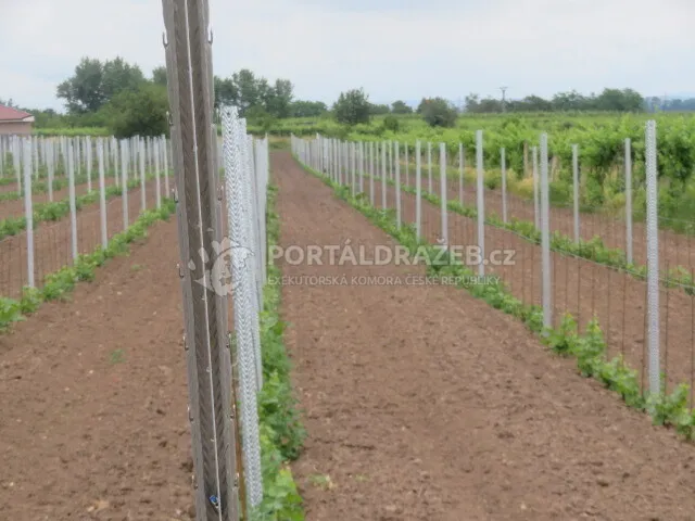 Pozemek (vinice) v obci Hlohovec, okr. Břeclav
