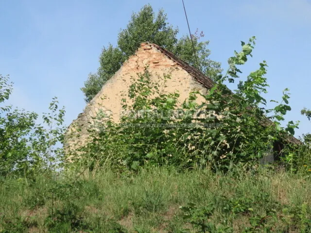 Dražba spoluvlastnického podílu ve výši 1/2 na zem. usedlosti se zahradou v obci Sovolusky, okr. Pardubice