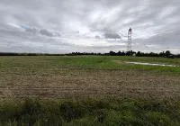 Žemės sklypas, 241,29 a. (2,41 ha.) Radviliškio r. sav. Šeduvos m. Pakruojo g. 26