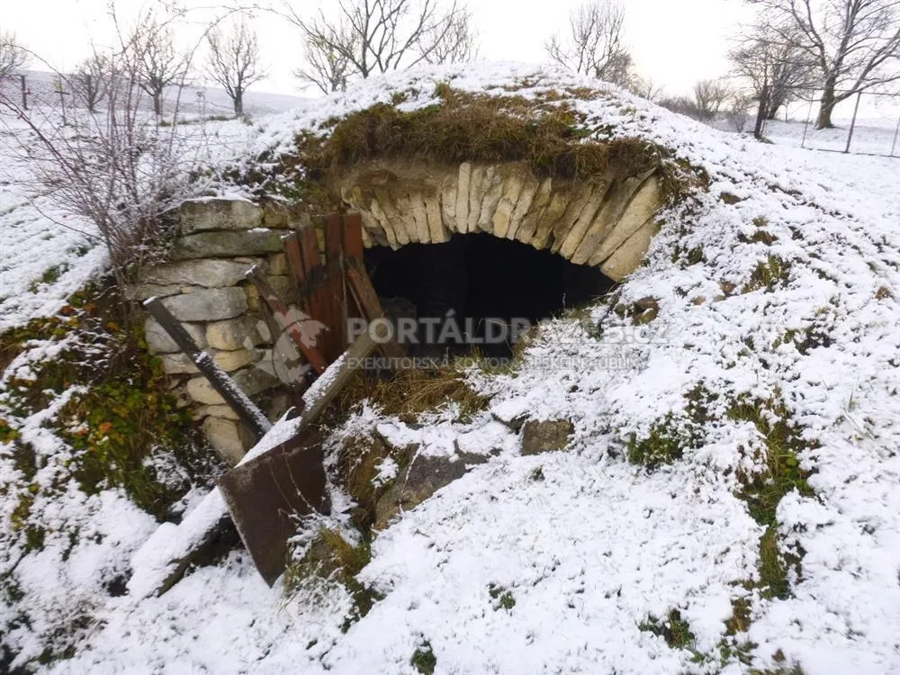 1/2 Rod. domu pozemky a přísluš.,k.ú. Horní Rudná, okr.: Svitavy