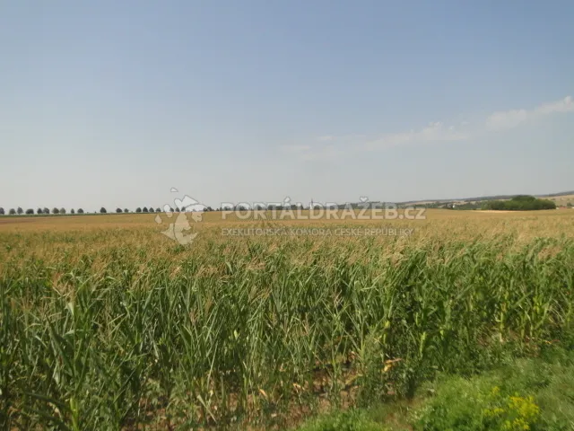 id. 1/8 pozemků v Sivicích, okr. Brno - venkov