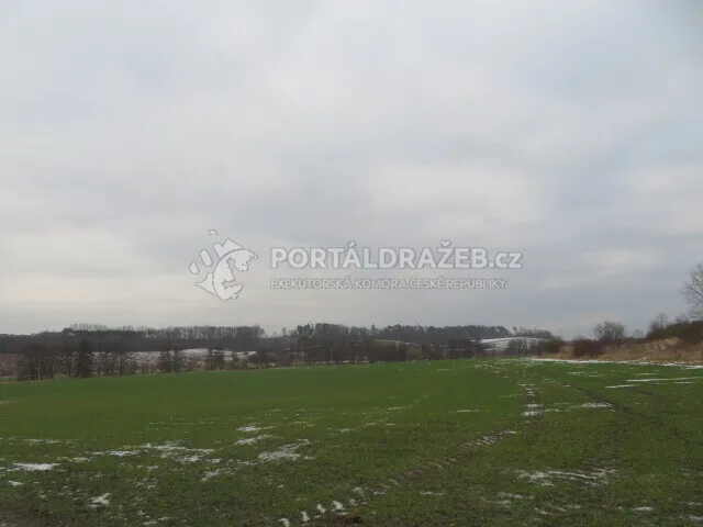 Opakovaná dražba spoluvlastnického podílu ve výši 1/2 na pozemcích v obci Račice nad Trotinou, okr. Hradec Králové