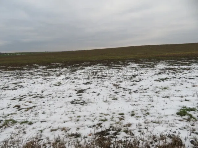 Opakovaná dražba spoluvlastnického podílu ve výši 1/2 na pozemcích v obci Račice nad Trotinou, okr. Hradec Králové
