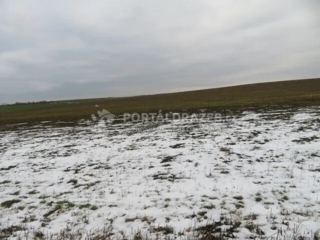 Opakovaná dražba spoluvlastnického podílu ve výši 1/2 na pozemcích v obci Račice nad Trotinou, okr. Hradec Králové