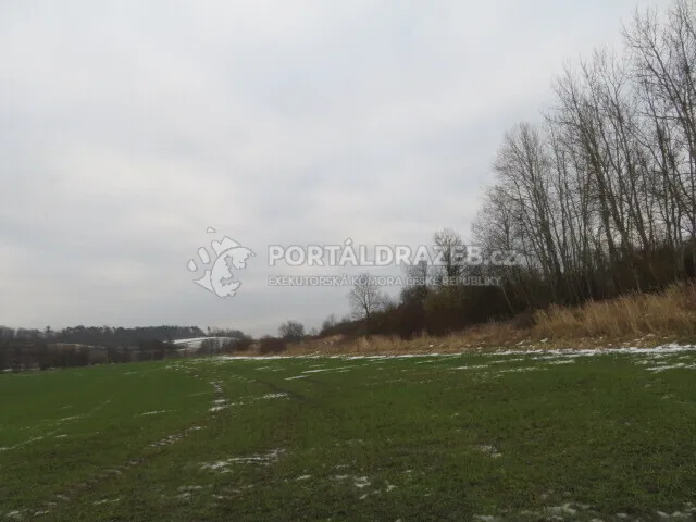 Opakovaná dražba spoluvlastnického podílu ve výši 1/2 na pozemcích v obci Račice nad Trotinou, okr. Hradec Králové
