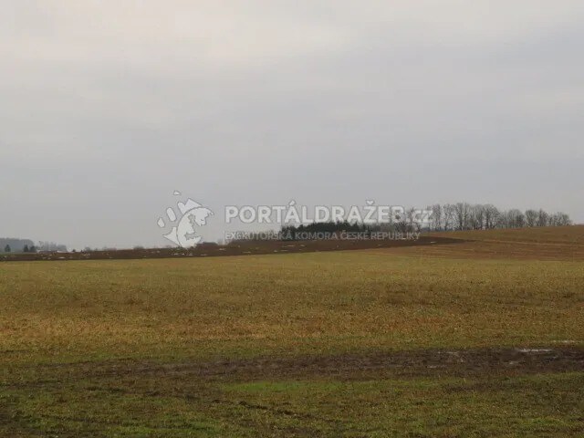 Opakovaná dražba spoluvlastnického podílu ve výši 1/2 na pozemcích v obci Račice nad Trotinou, okr. Hradec Králové