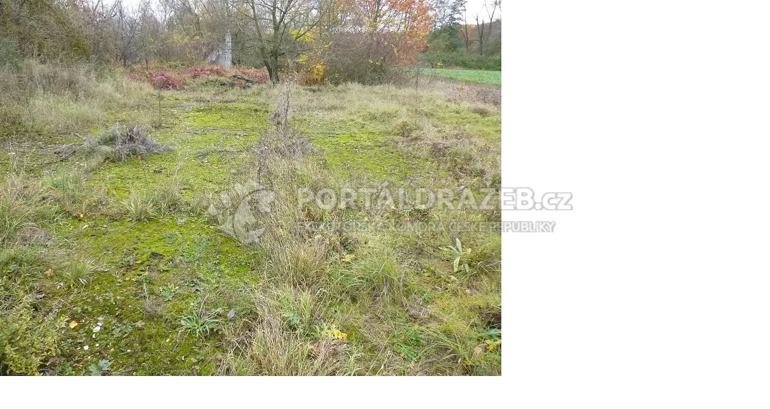 pozemky-zastavěná plocha,nádvoří (budovy již neexistují), k.ú. Bezděkov u Žatce
