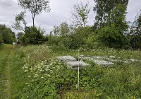 Žemės sklypas, 21,6 a. (0,22 ha.) Šiaulių r. sav. Lingailių k.