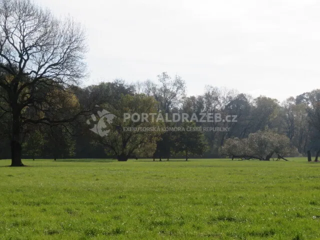 Dražba lesních pozemků, id. podíl 1/88, Mikulčice