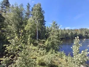 Ulosmitattu rakentamaton kiinteistö Rautjärvellä