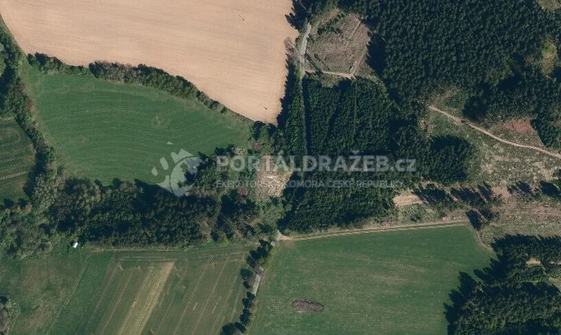 Dražba lesních pozemků v obci Černovice
