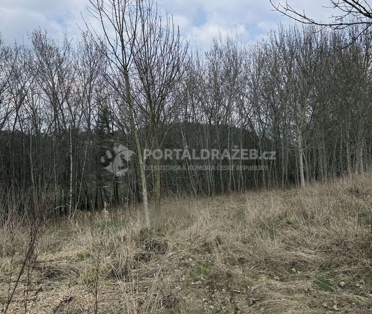 Rodinný dům Žďárek, okr Liberec