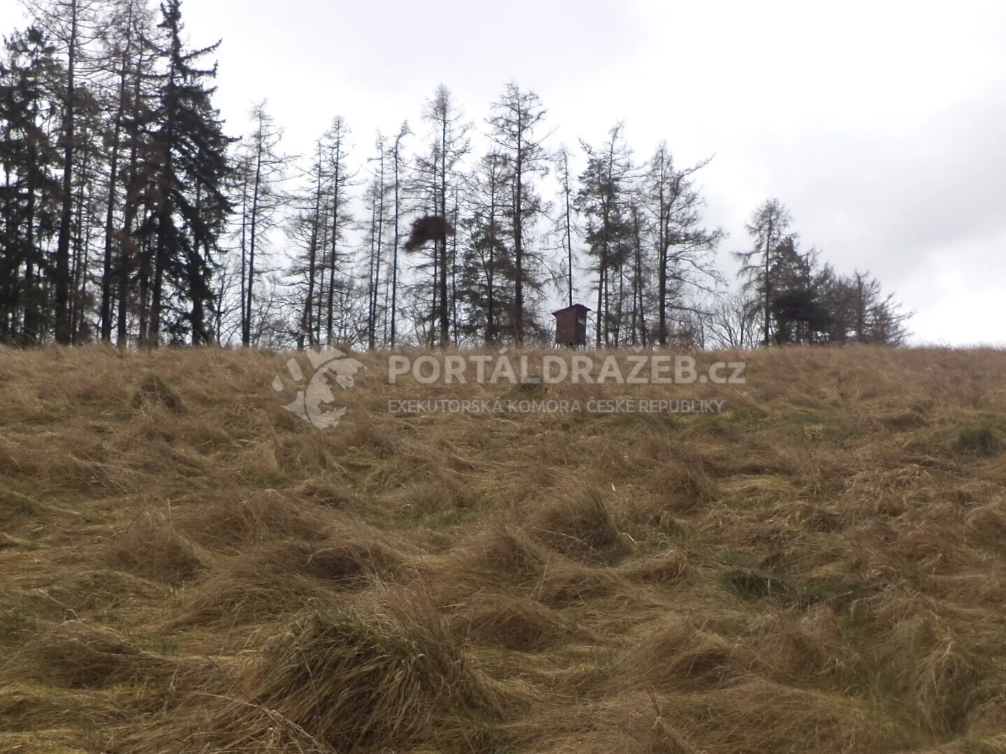 Pozemek o velikosti 25345m2, Zábludov+Letovice