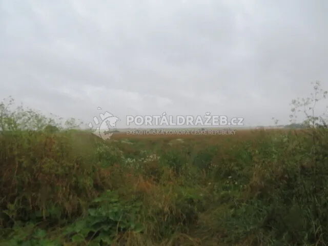 Pozemek o velikosti 4199m2, Kutná Hora, podíl 1/3