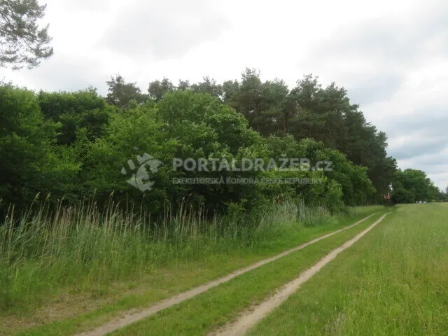 Pozemek o velikosti 3862m2, Kyjov