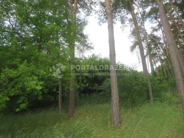 Pozemek o velikosti 3862m2, Kyjov