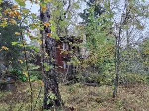 Ulosmitattu kiinteistö purkukuntoisilla rakennuksilla Heinlahdessa
