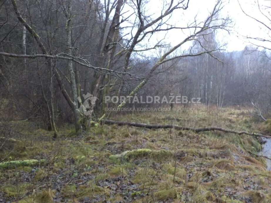 Pozemek o velikosti 919m2, Bolechy