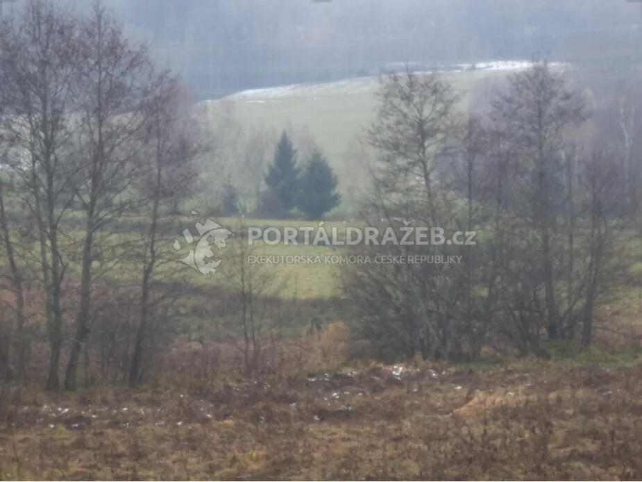 Pozemek o velikosti 919m2, Bolechy