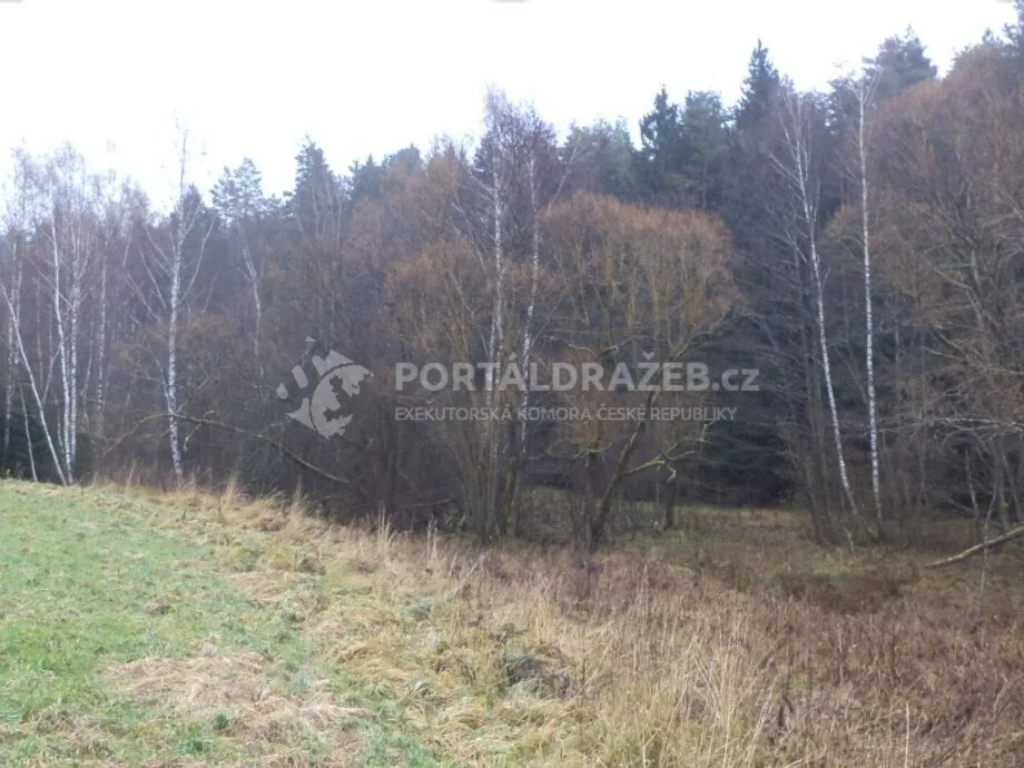 Pozemek o velikosti 919m2, Bolechy