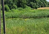Žemės sklypas, 520,71 a. (5,21 ha.) Radviliškio r. sav. Viktorinės k.
