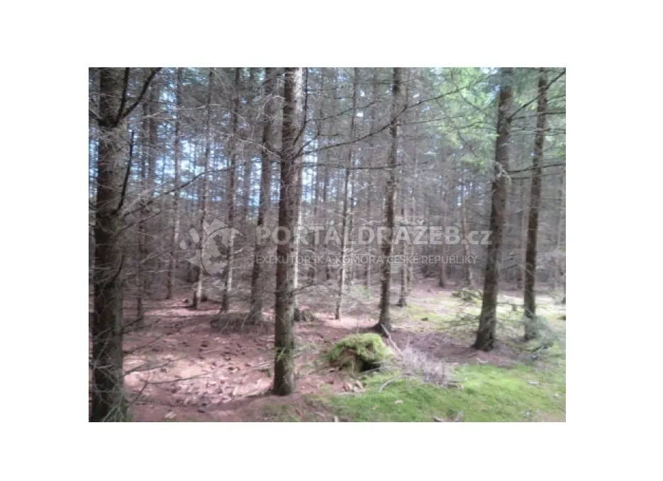 Lesní pozemek 19.643 m2, podíl 1/2, k.ú. Nová Ves u Světlé nad Sázavou