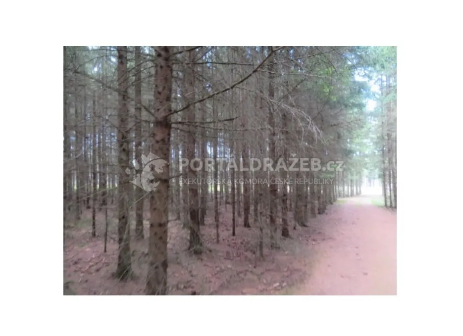 Lesní pozemek 19.643 m2, podíl 1/2, k.ú. Nová Ves u Světlé nad Sázavou