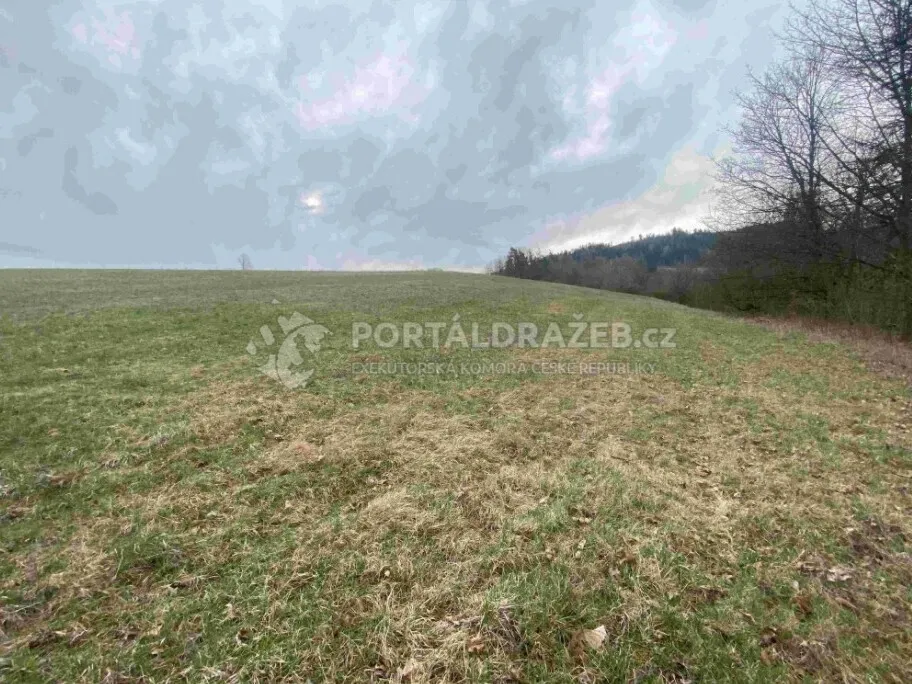 Pozemek o velikosti 14714m2, Vesec pod Kozákovem